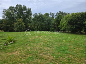 propriete à la vente -   85600  MONTAIGU, surface 221 m2 vente propriete - UBI456217562